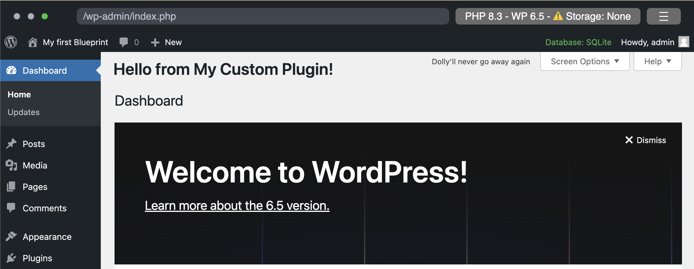 Site with the custom plugin