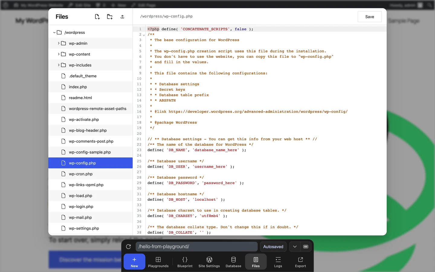 The Files pane with a WordPress file selected